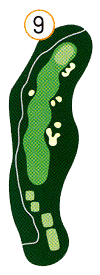 Hole 9 map