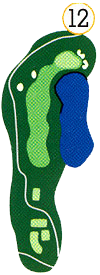 Hole 12 map